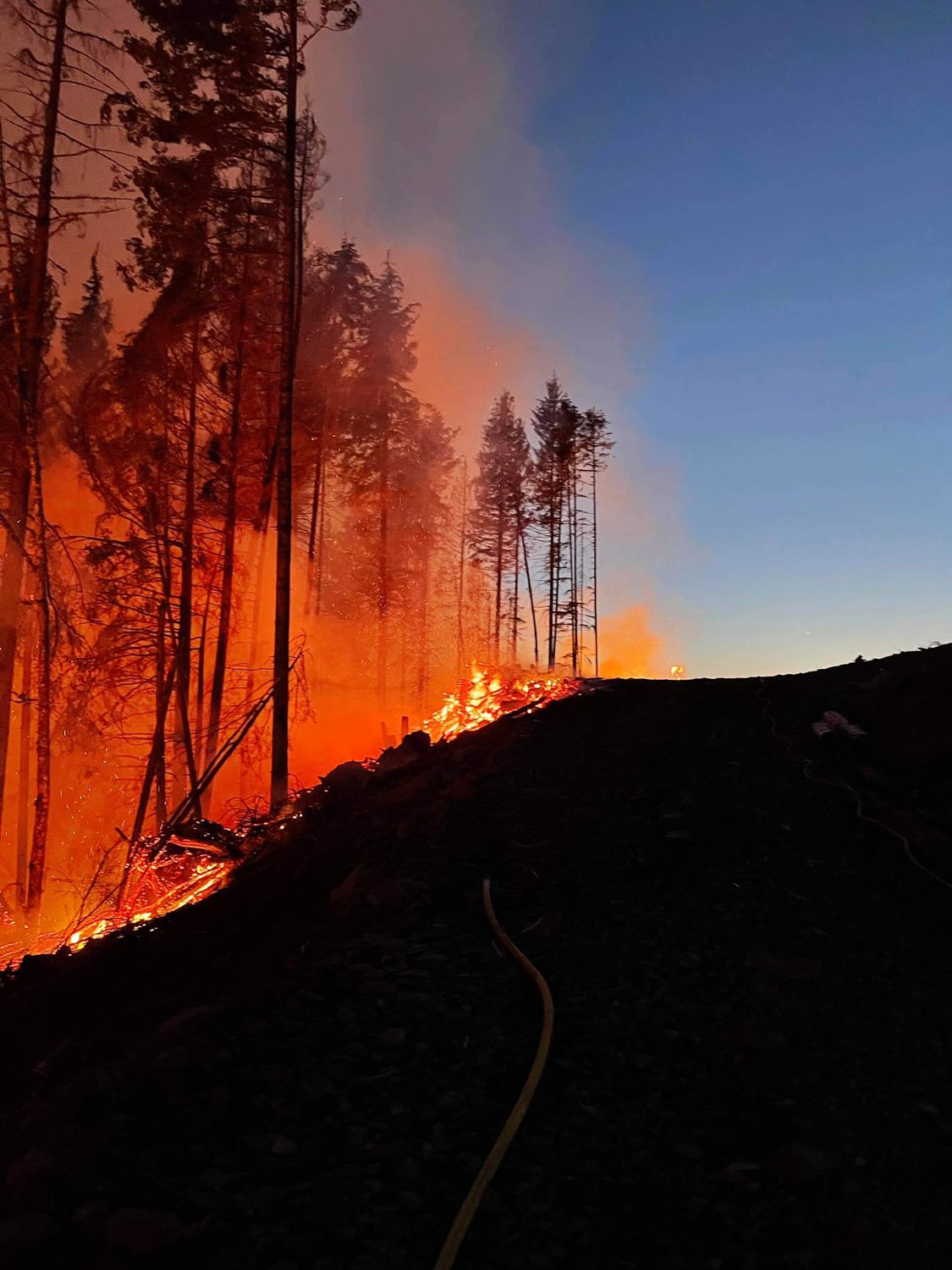 Flames burn through trees at the Mineral Fire in this photograph captured by Terry Boyet.